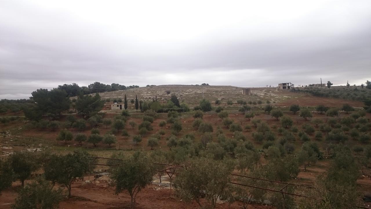 Town Of Mount Nebo Villa Madaba Luaran gambar