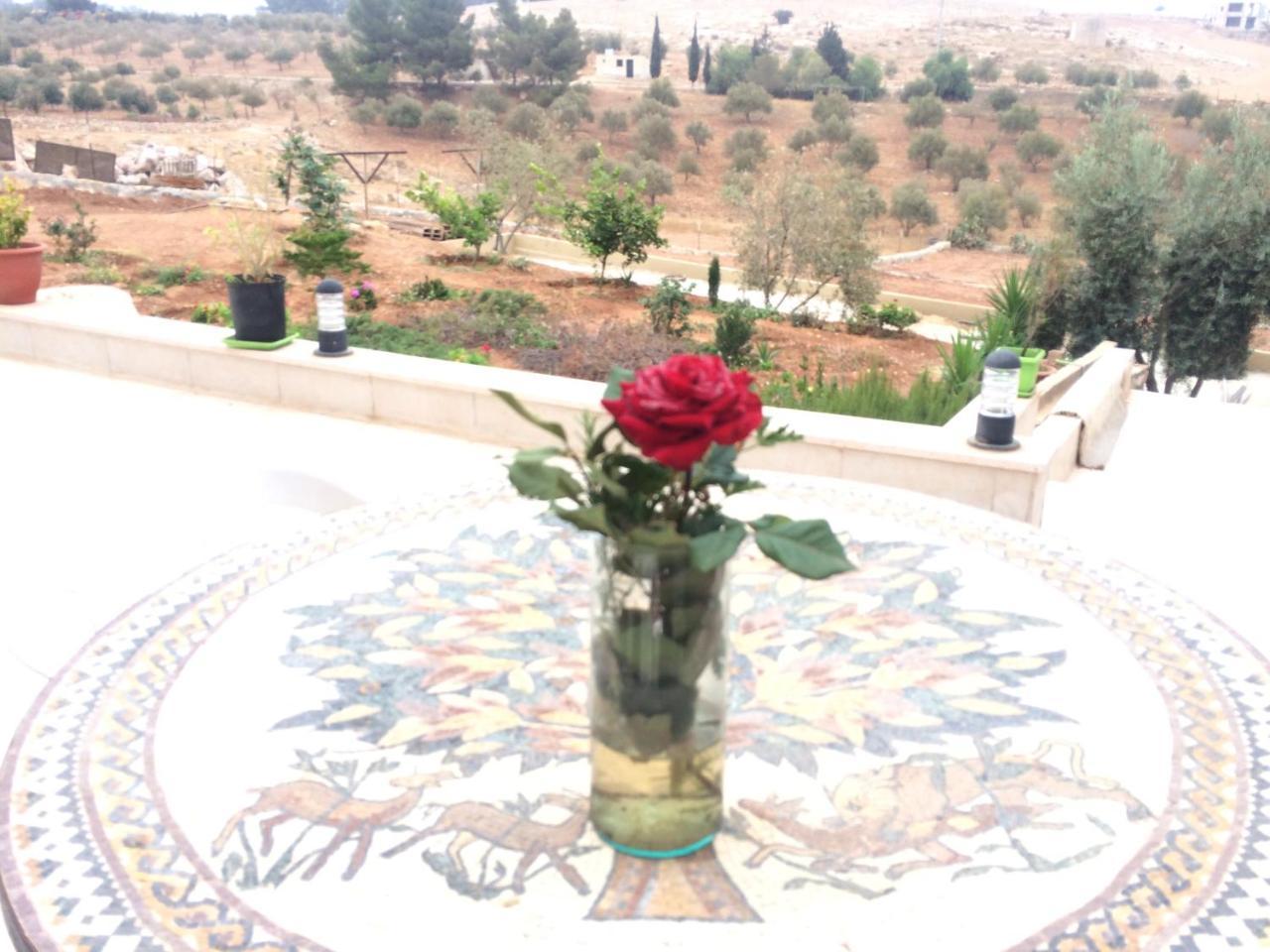 Town Of Mount Nebo Villa Madaba Luaran gambar